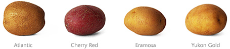 Table Potatoes